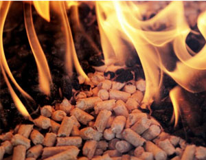 Características del combustible de pellets de madera